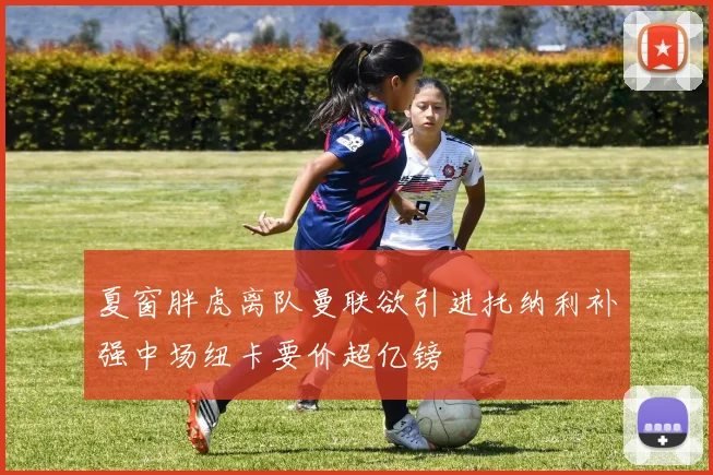 夏窗胖虎离队曼联欲引进托纳利补强中场纽卡要价超亿镑