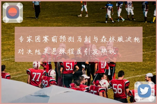 专家团赛前预测马刺与森林狼次轮对决结果悬殊程度引发热议